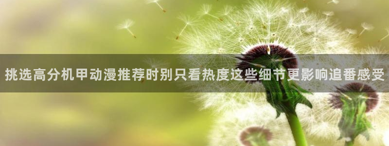 动漫网站免费大全