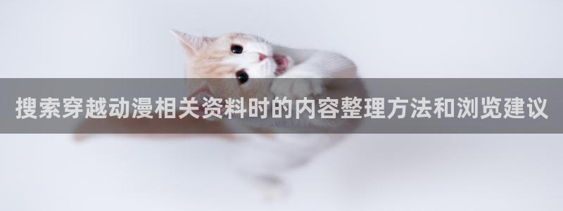 动漫动漫:搜索穿越动漫相关资料时的内容整理方法和浏览建议