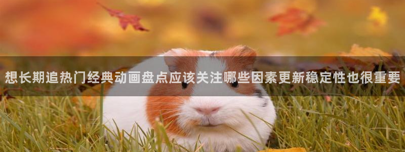 全部动漫:想长期追热门经典动画盘点应该关注哪些因素更新稳定性也很重要
