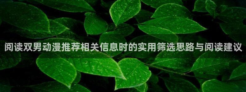 终末的后宫动漫完整版观看
