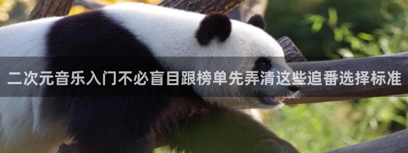 好看的国产动漫推荐