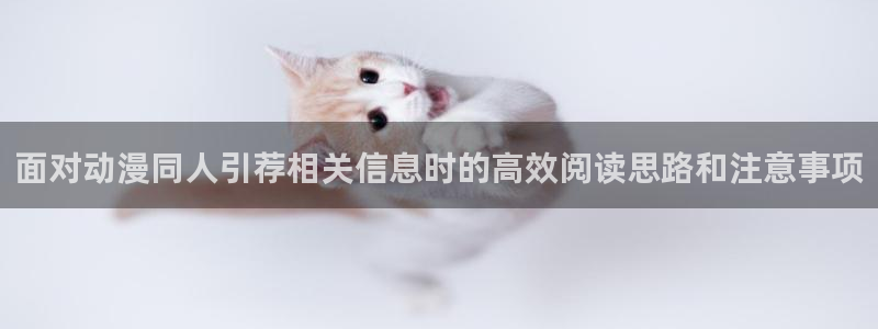 动漫之家社区版