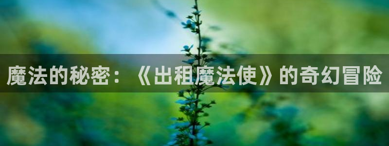 动漫全部:魔法的秘密:《出租魔法使》的奇幻冒险