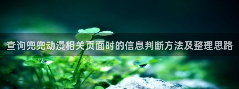 精彩动漫：查询兜兜动漫相关页面时的信息判断方法及整理思路